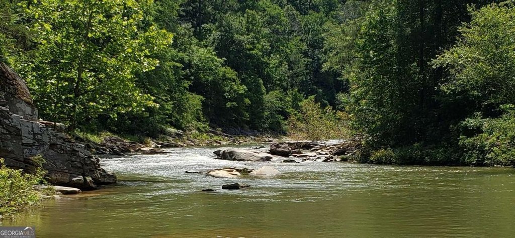 Picture 12