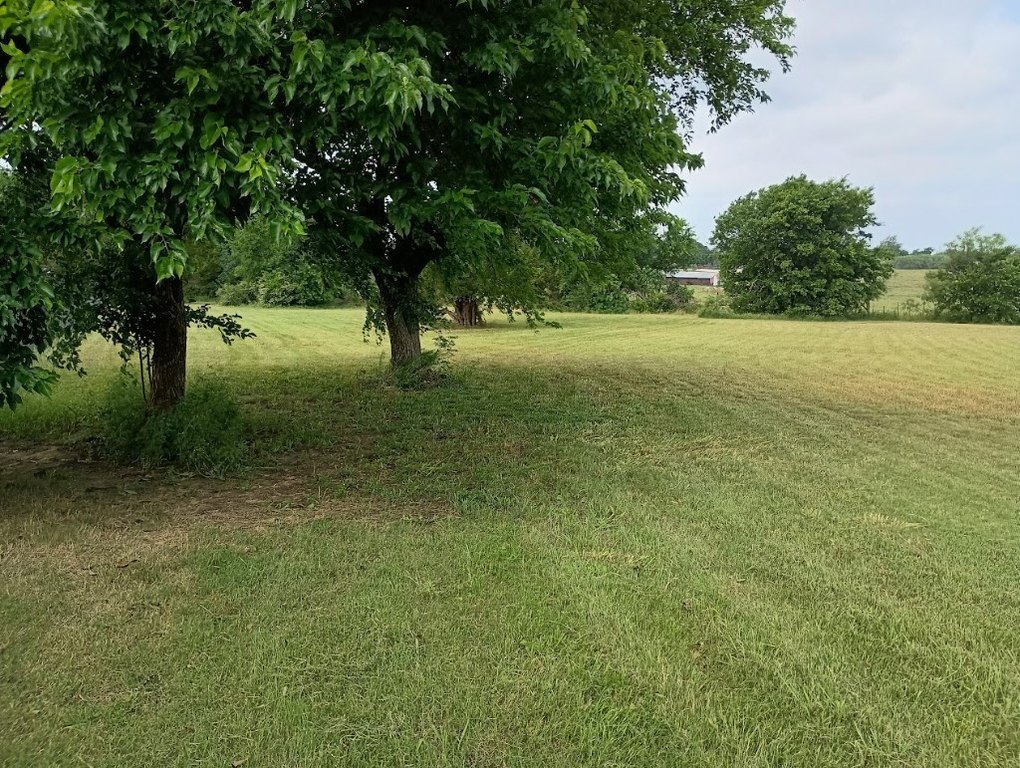 Picture 10