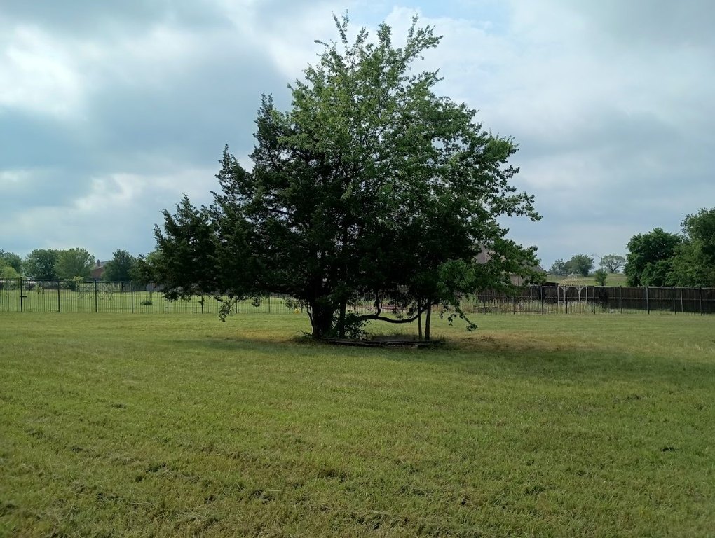 Picture 5