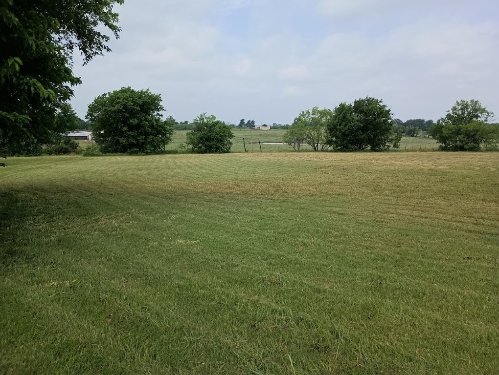 Picture 11