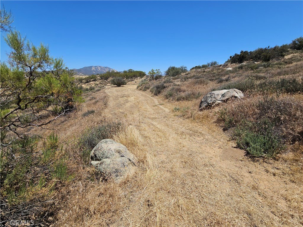 Picture 7