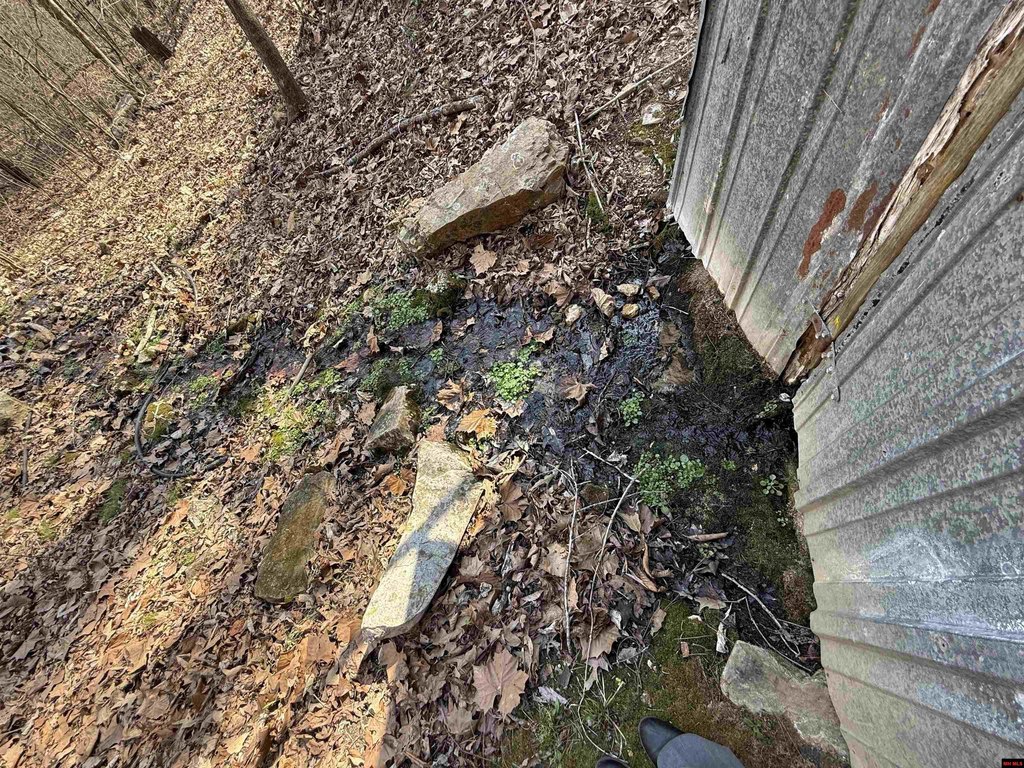 Picture 13