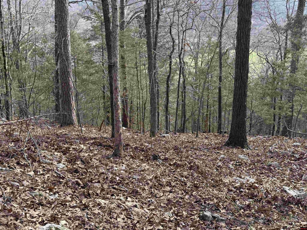 Picture 19