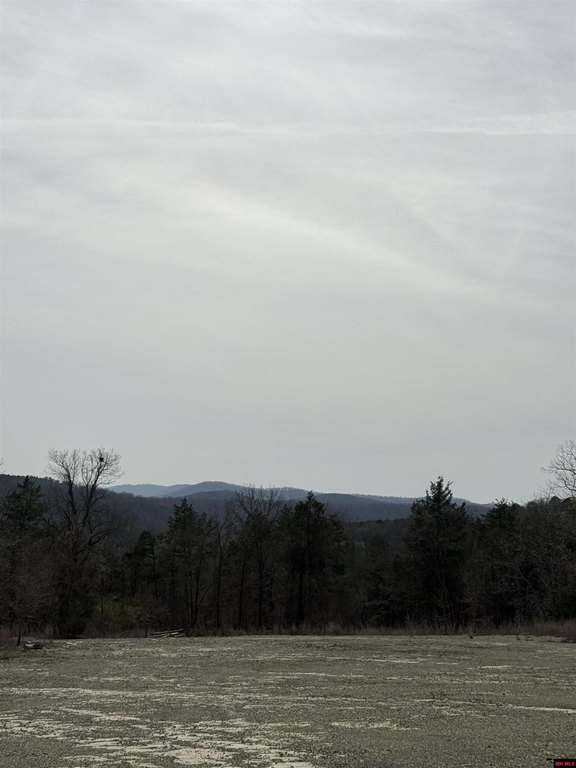 Picture 33