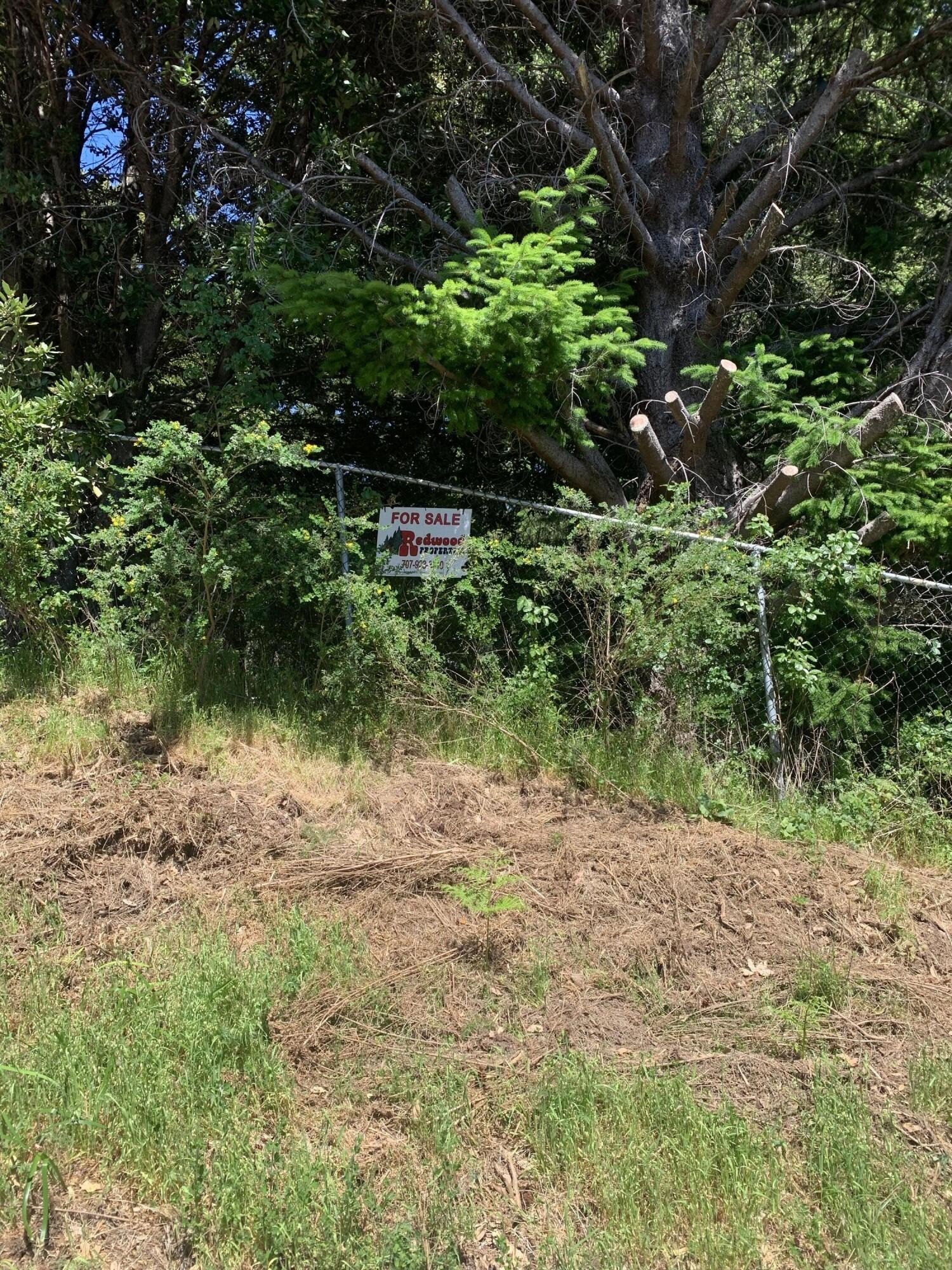 Oversized Corner Lot in Whitethorn