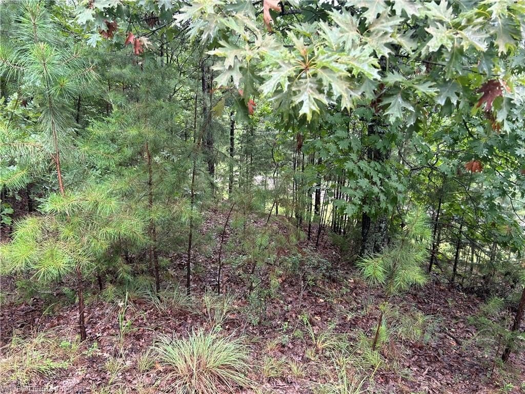 Picture 9