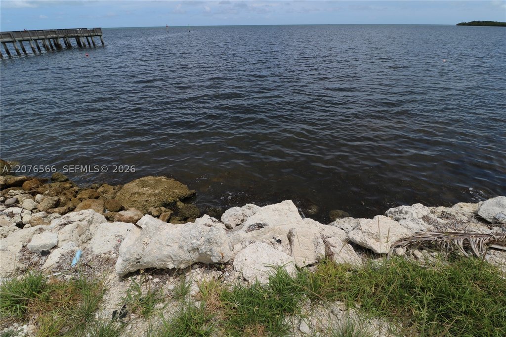 Picture 7