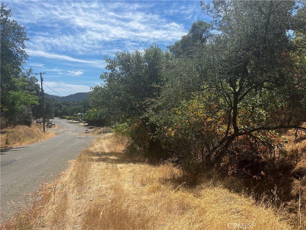 Picture 14