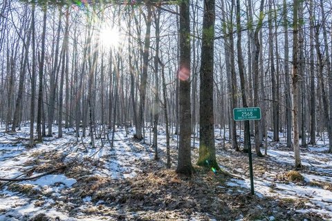 Wooded Lot in Baileys Harbor