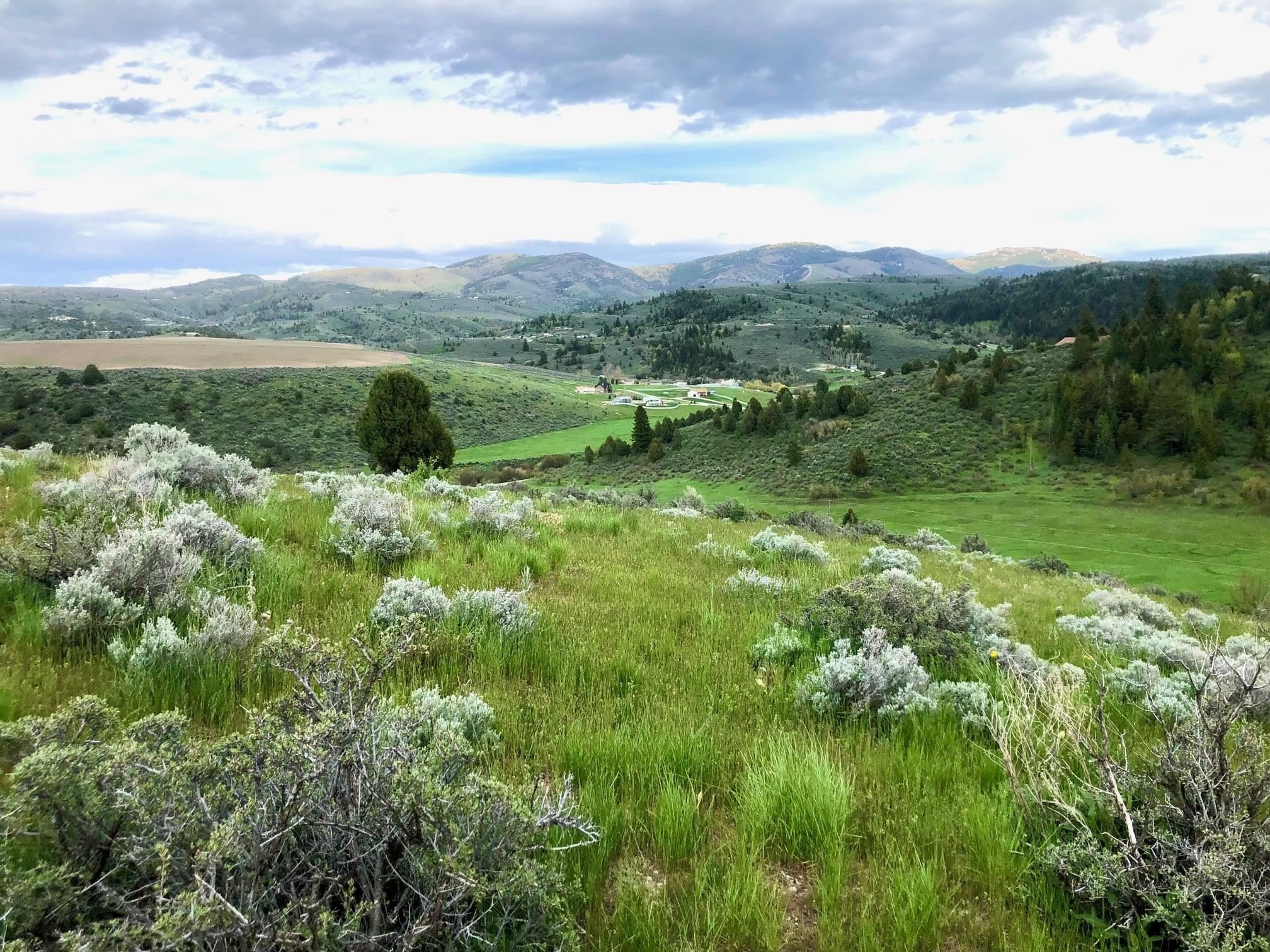 Lava Hot Springs View Lot