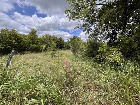 Texas Land with Development Potential