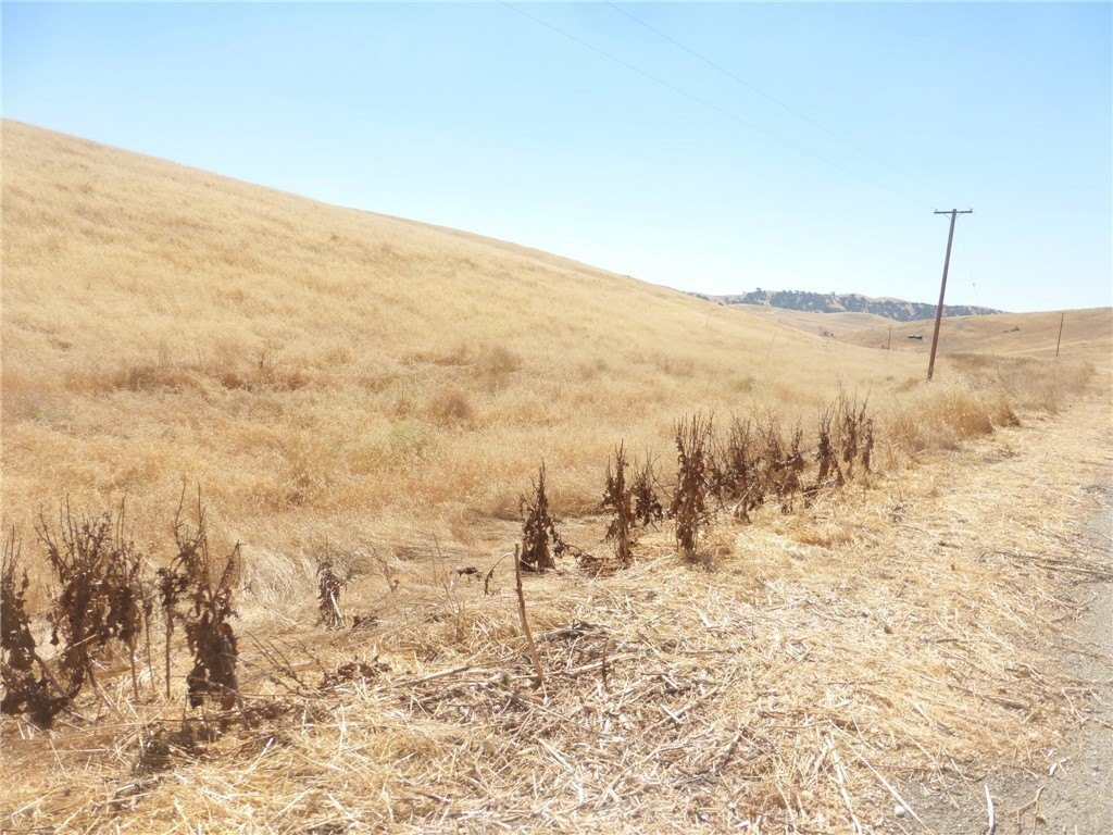 Picture 24
