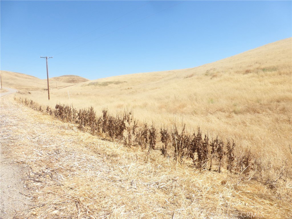 Picture 21