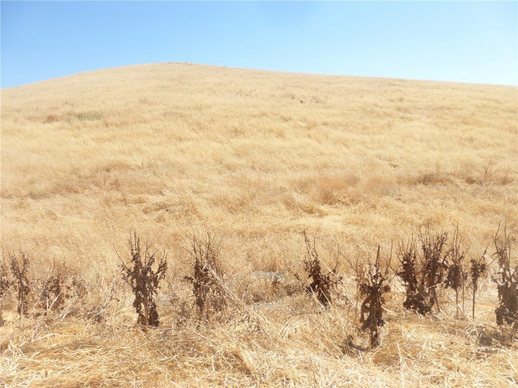 Picture 23