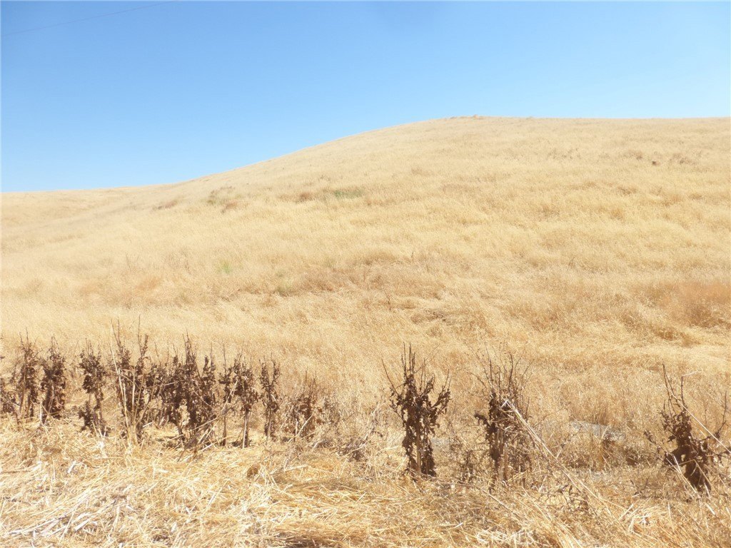 Picture 22