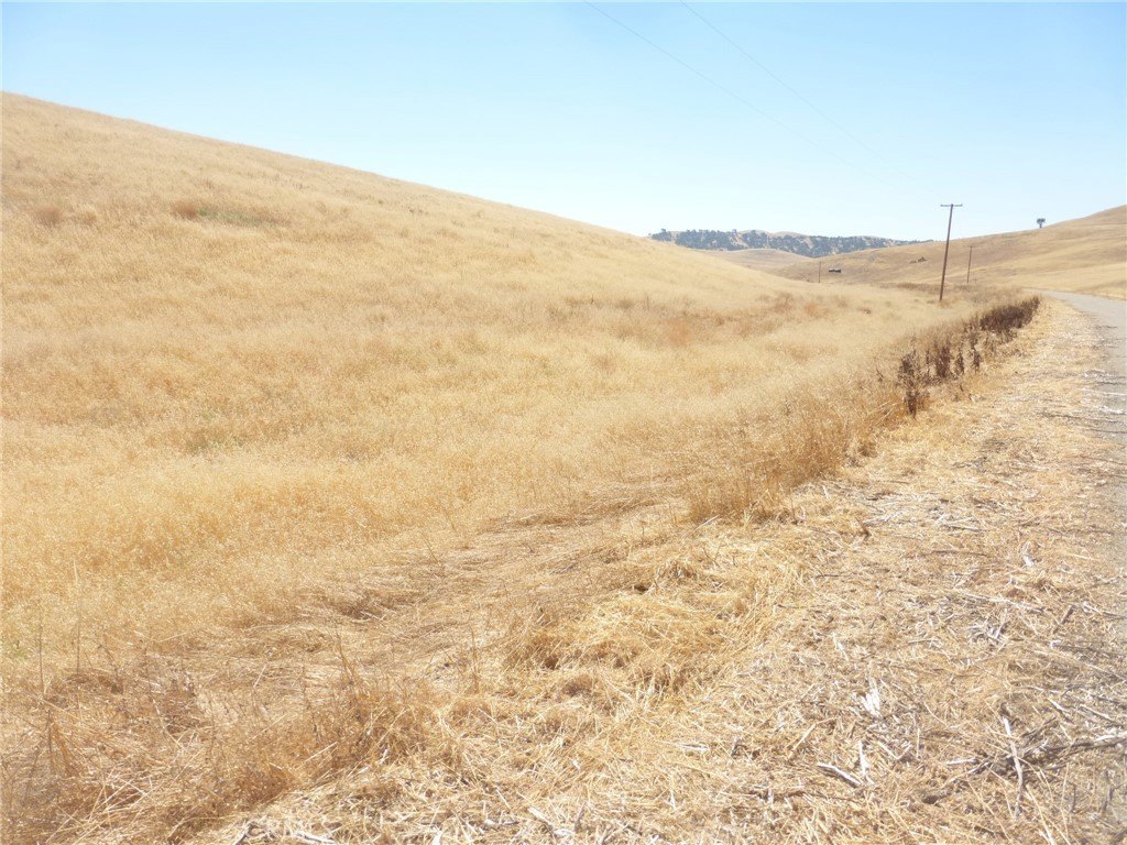 Picture 19