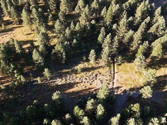 Picture 26