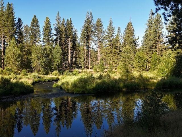 Picture 28