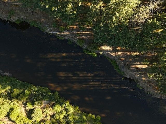 Picture 30