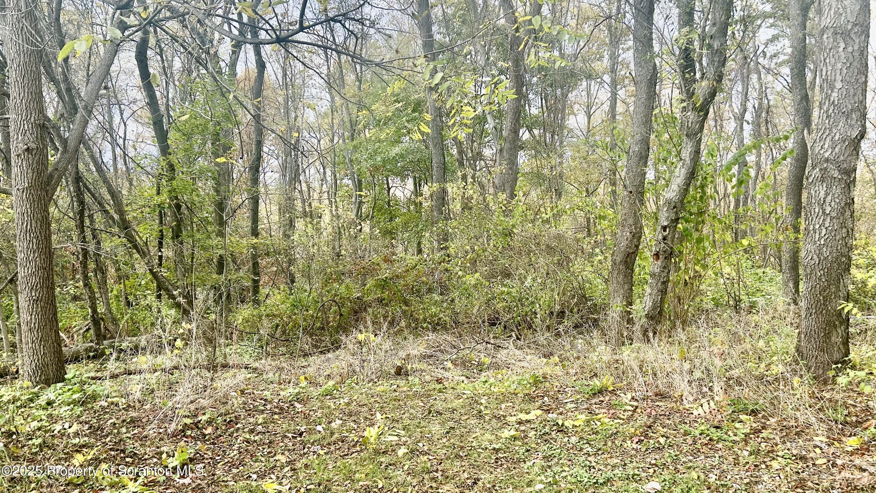 Prime Land in Growing Location