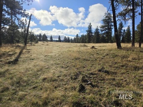Land, White Bird, ID