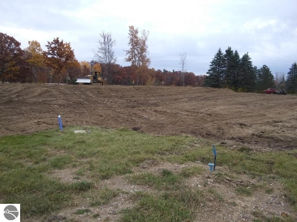 Picture 3