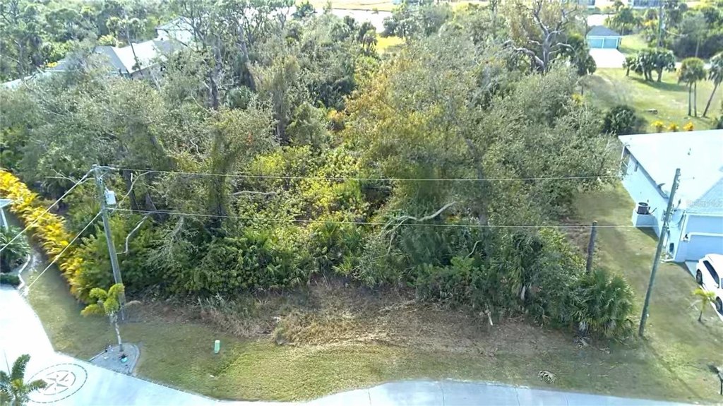 Picture 2