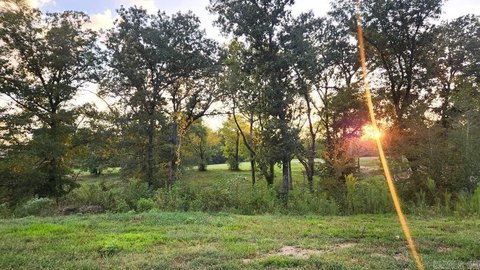 Vacant Land, Story, AR