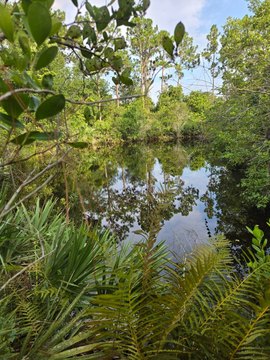 Okeechobee Vacant Land For Sale