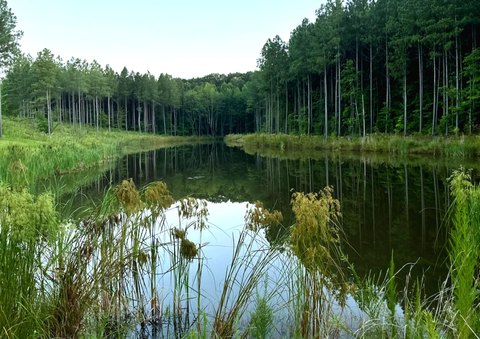 Land, Soddy Daisy, TN