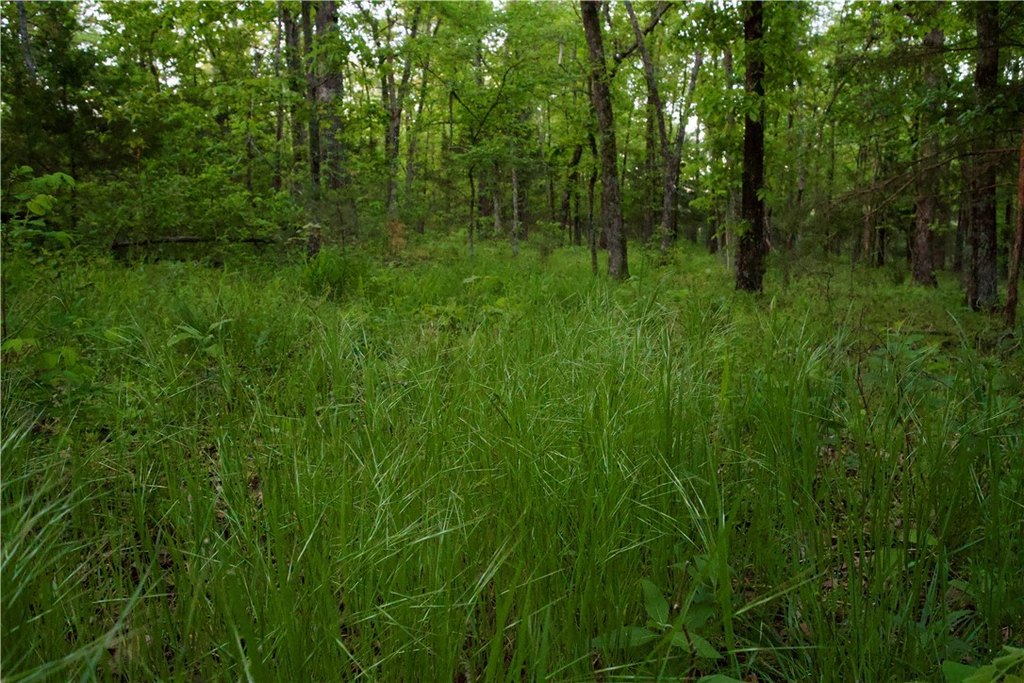 Picture 42