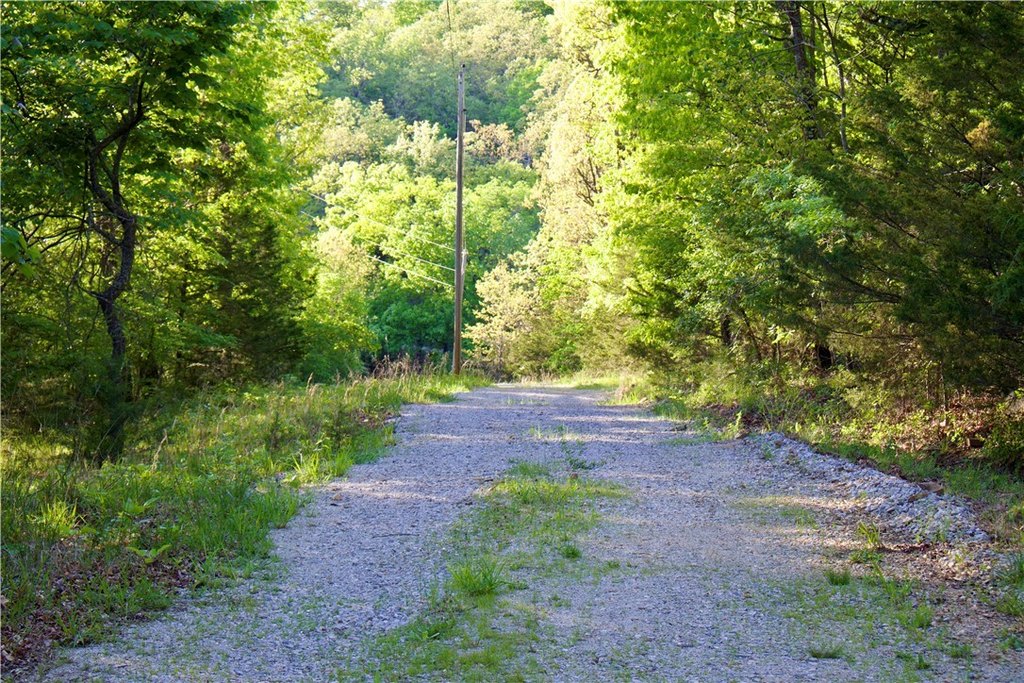 Picture 8