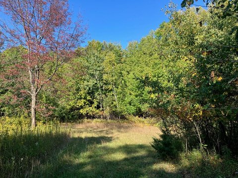 Inland-Land, Sister Bay, WI