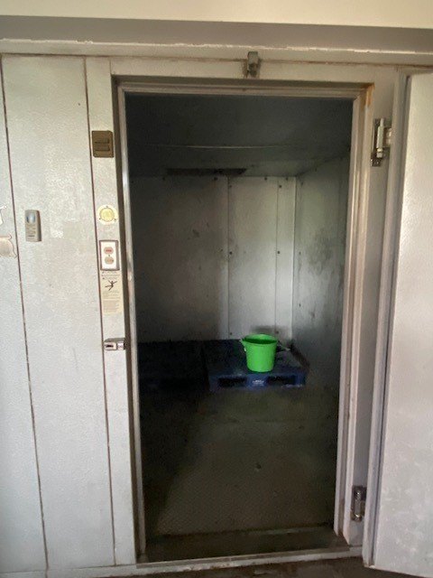 Picture 12