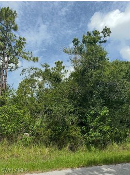 Residential Land in Punta Gorda