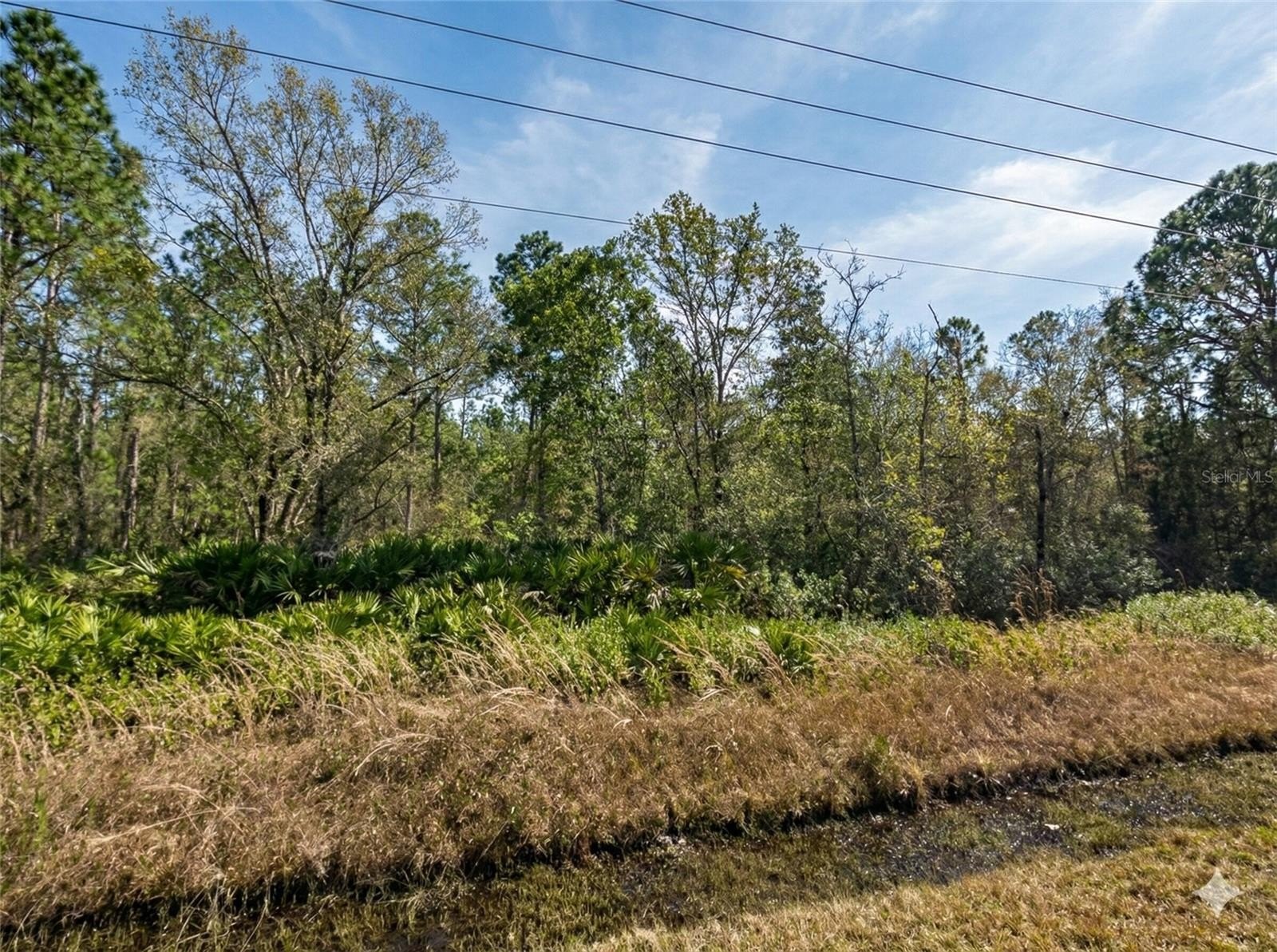 Recreational Land in Growing Area