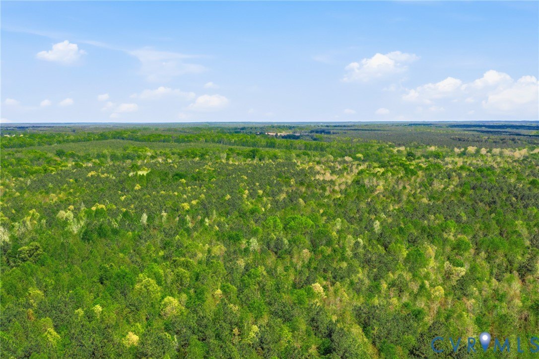 Dinwiddie Land with Lake Access