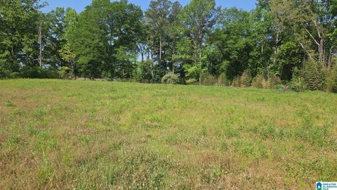 LAND/LOTS, VANCE, AL