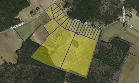 Cleared Land with Income Potential
