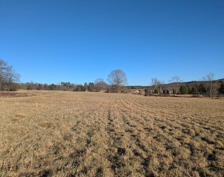 Pasture Land in Willis, VA