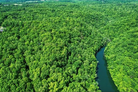 Land Near Center Hill Lake
