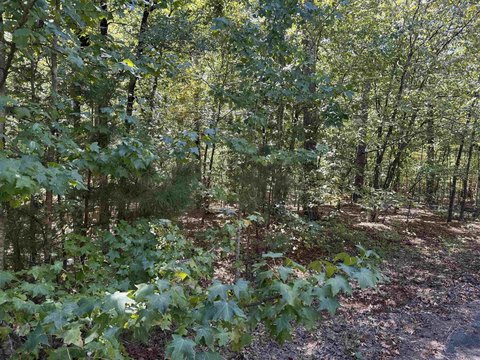 Vacant Land, Hot Springs Village, AR