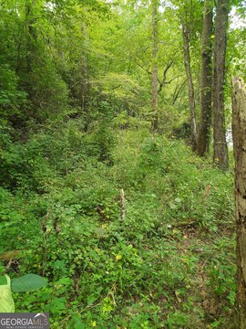 Land, Talking Rock, GA