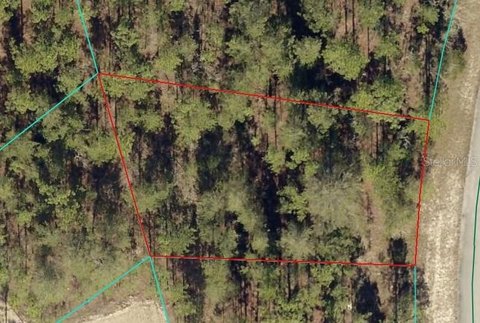 Land, OCALA, FL
