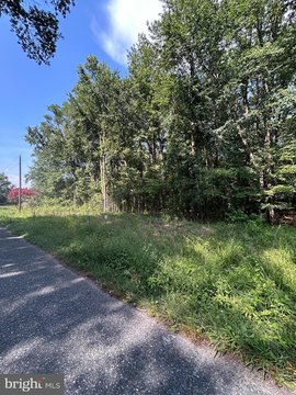 Buildable Lot in Millington, MD