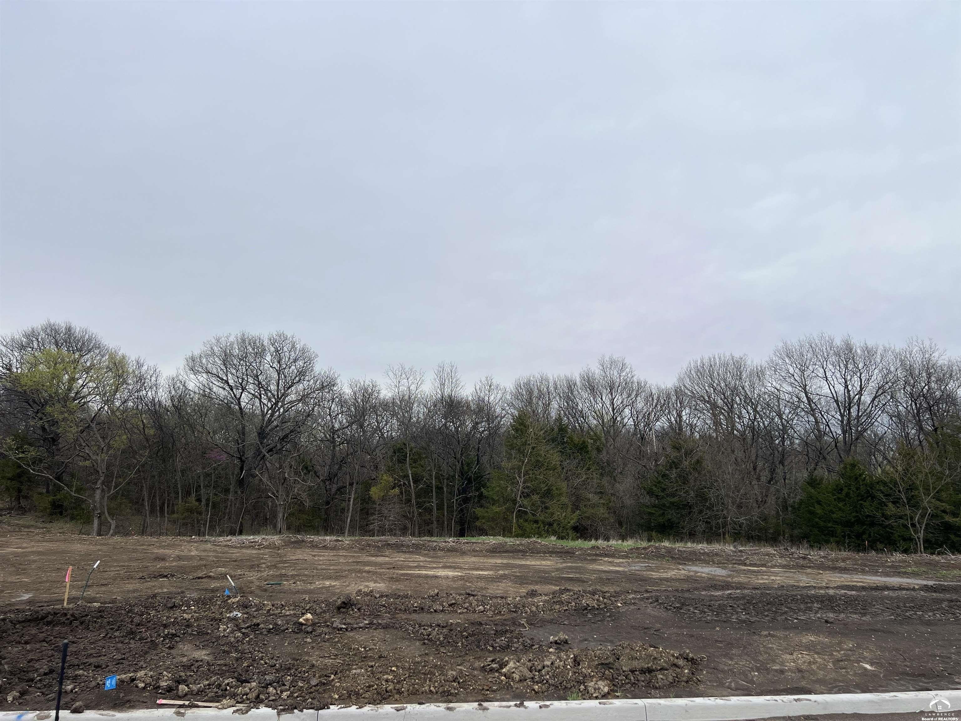 Residential Land in Baldwin City