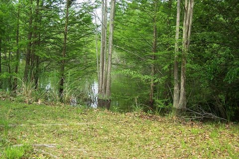 Waterfront Lot on Lake Marion