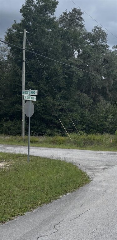 Picture 6