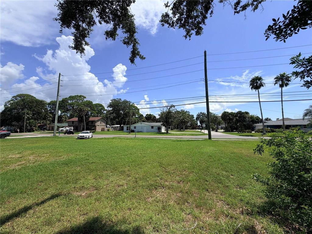 Picture 7