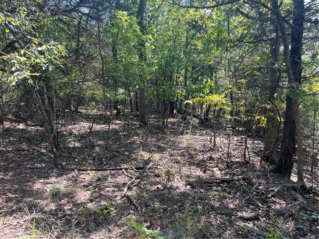 Picture 3